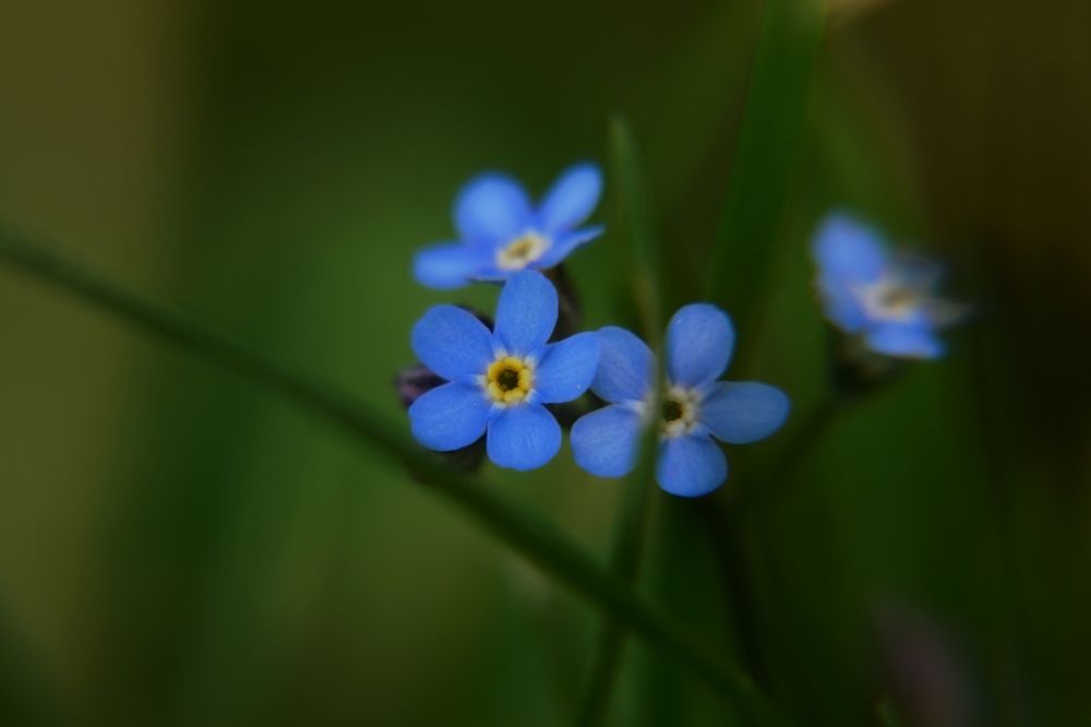 Photograph by Колоскова Мария