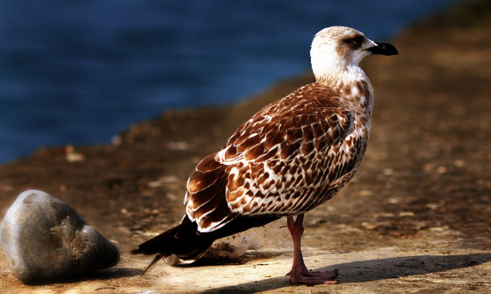 Photograph by Виктор Холодов