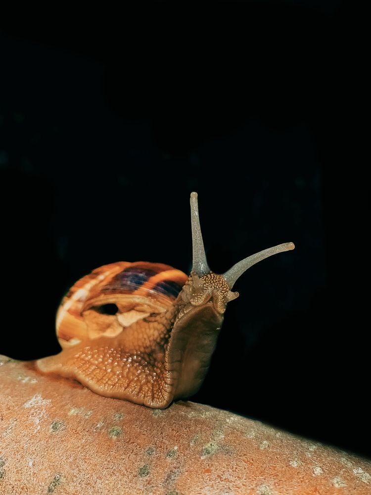 Photograph by Яна Полякова