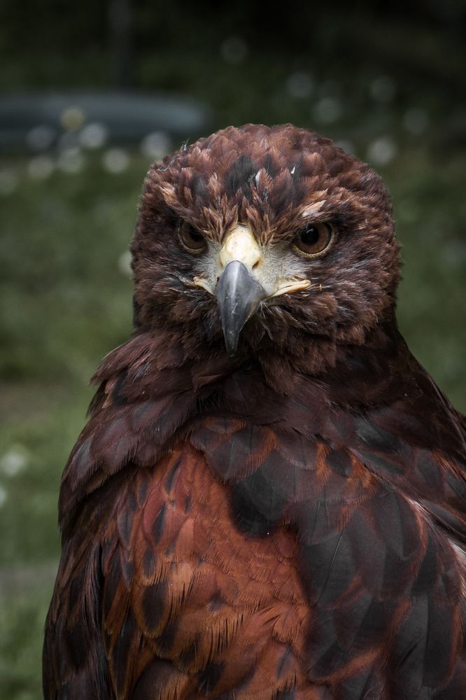 Photograph by Sergejs Barkans