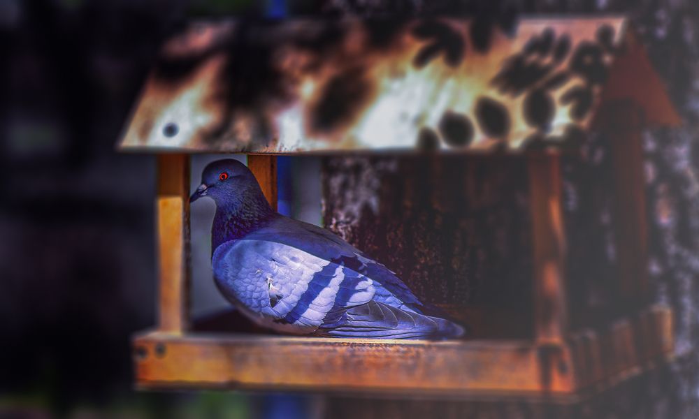 Photograph by Виктор Холодов