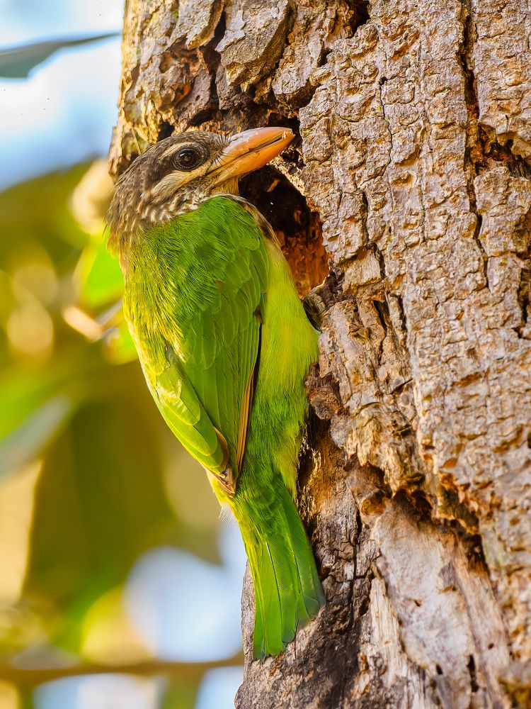 Photograph by Venkat Mangudi