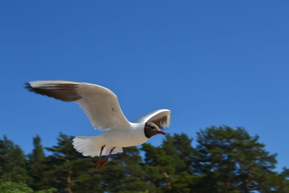 Photograph by Наталия Викторовна