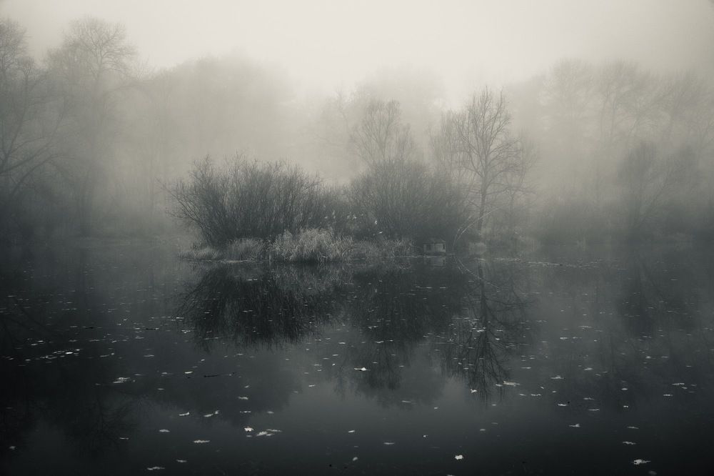 Photograph by Алексей Шевченко