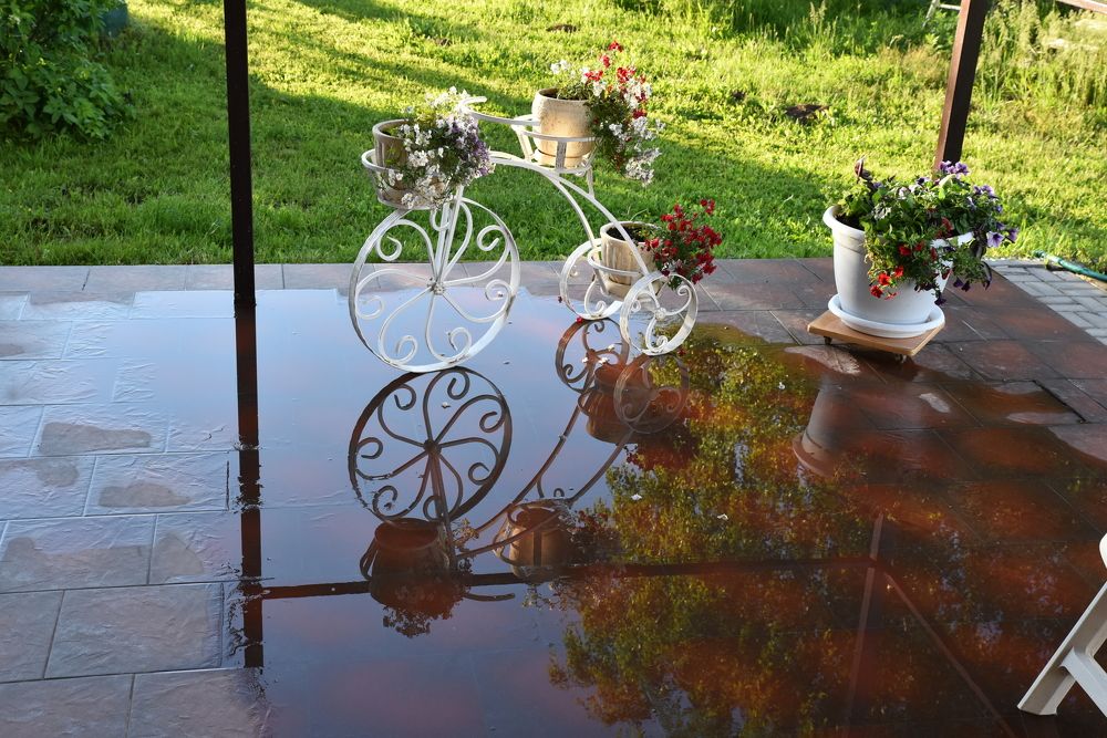 Фотография автора Сергей Чесноков