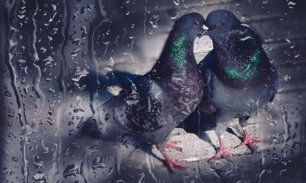 Photograph by Виктор Холодов