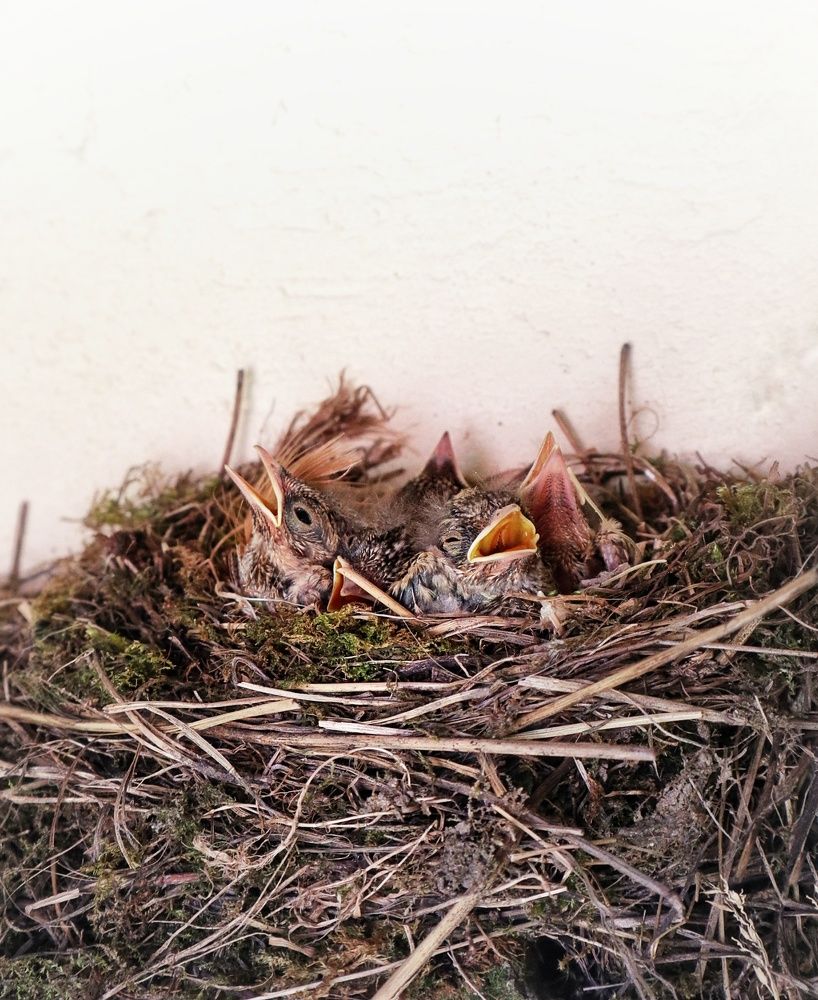 Photograph by Марина Шамич