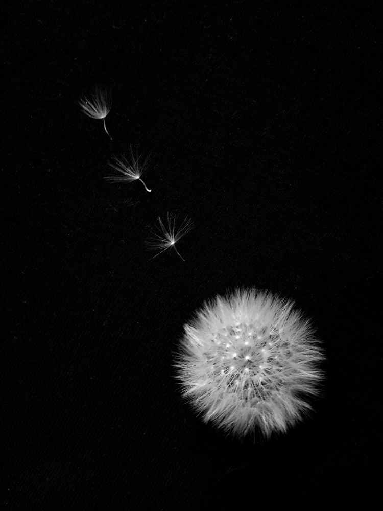 Photograph by Наталья Трофимова