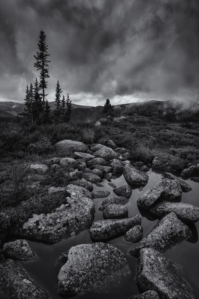 Photograph by Алексей Михайлов