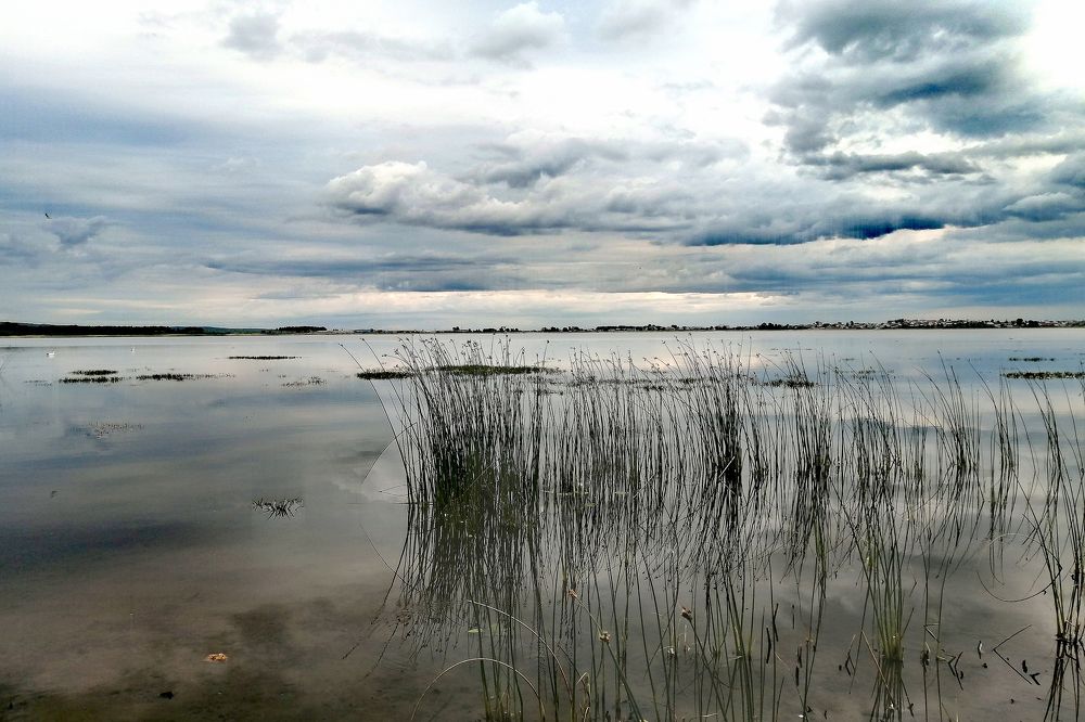 Photograph by Дмитрий Петренко
