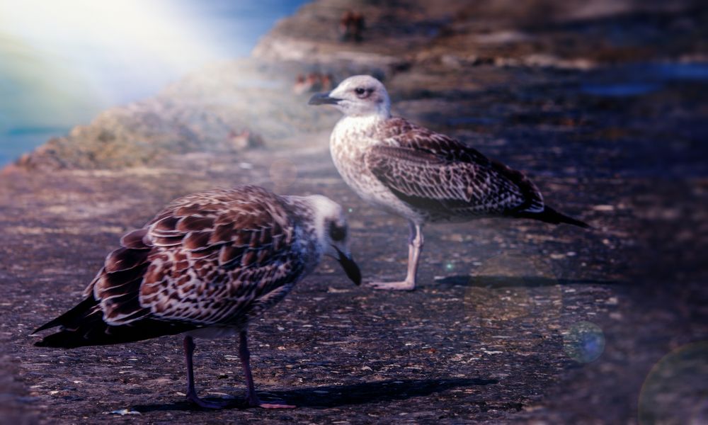 Photograph by Виктор Холодов