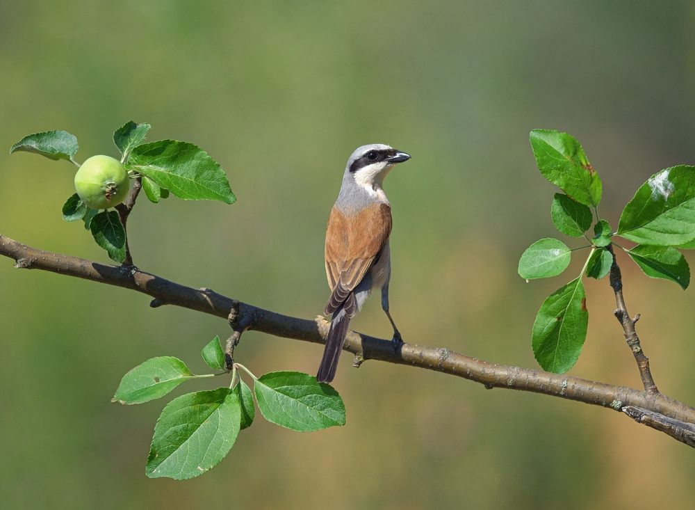 Photograph by Олег Есиков