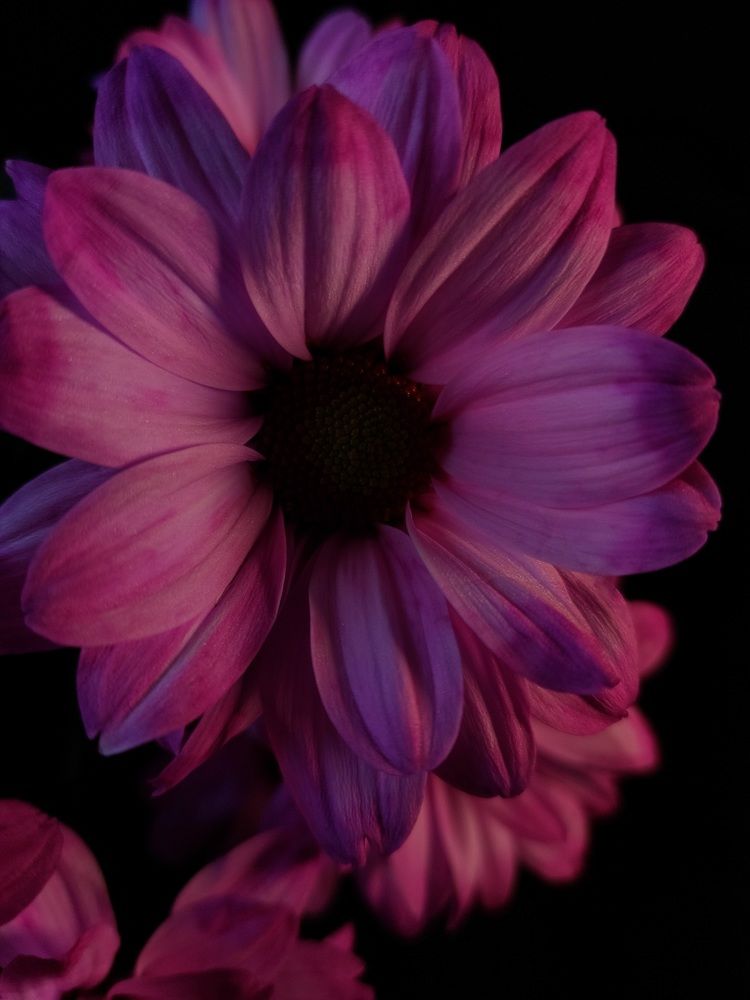 Photograph by Светлана Шиляева