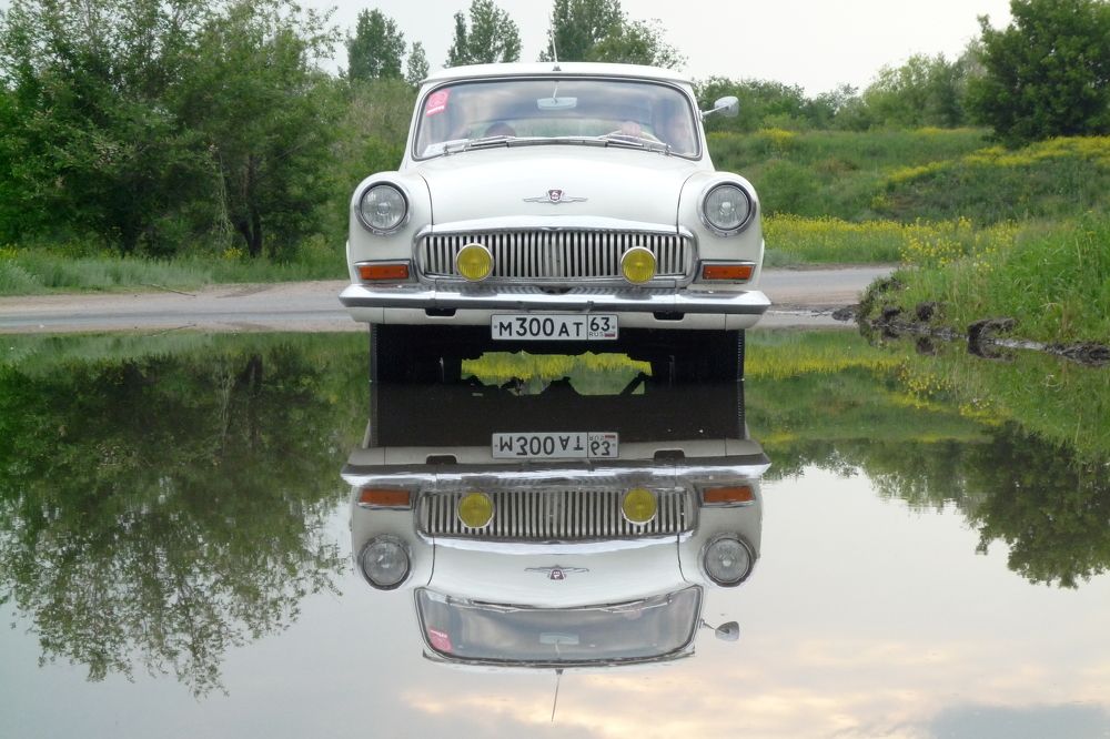 Photo #7777648