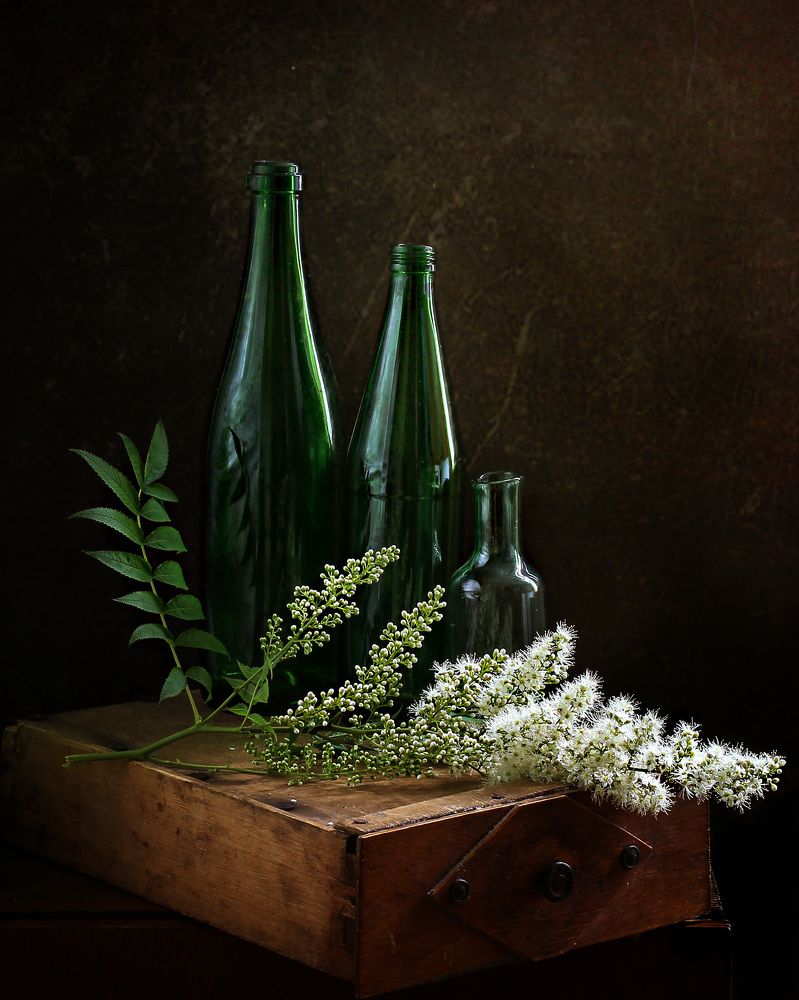 Photograph by тамара шмакова