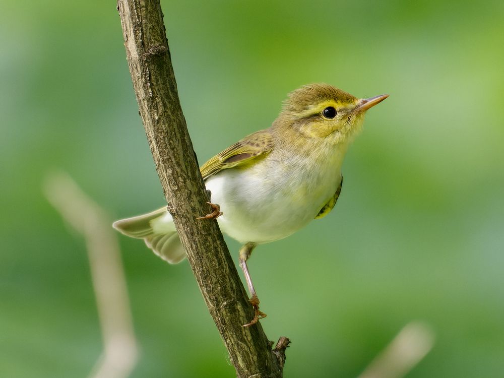 Photograph by Алексей Прокопенков