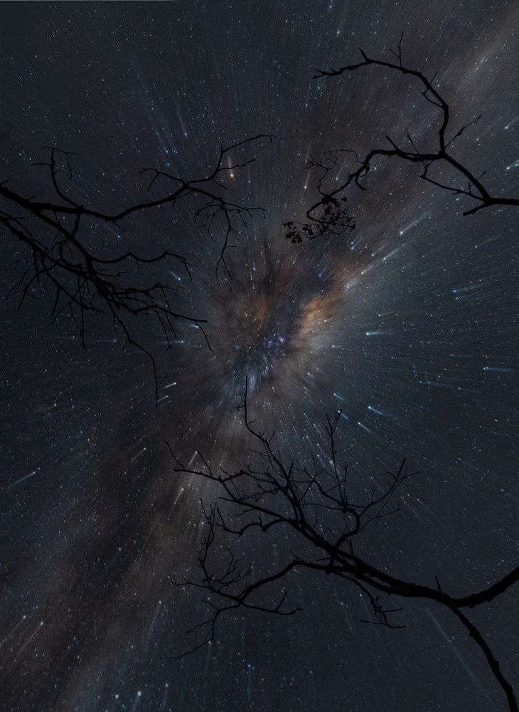 Photograph by Asela Nuwan