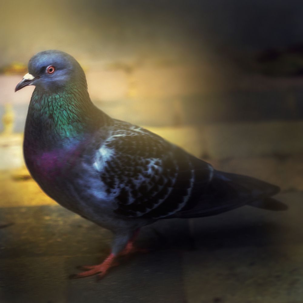 Photograph by Виктор Холодов