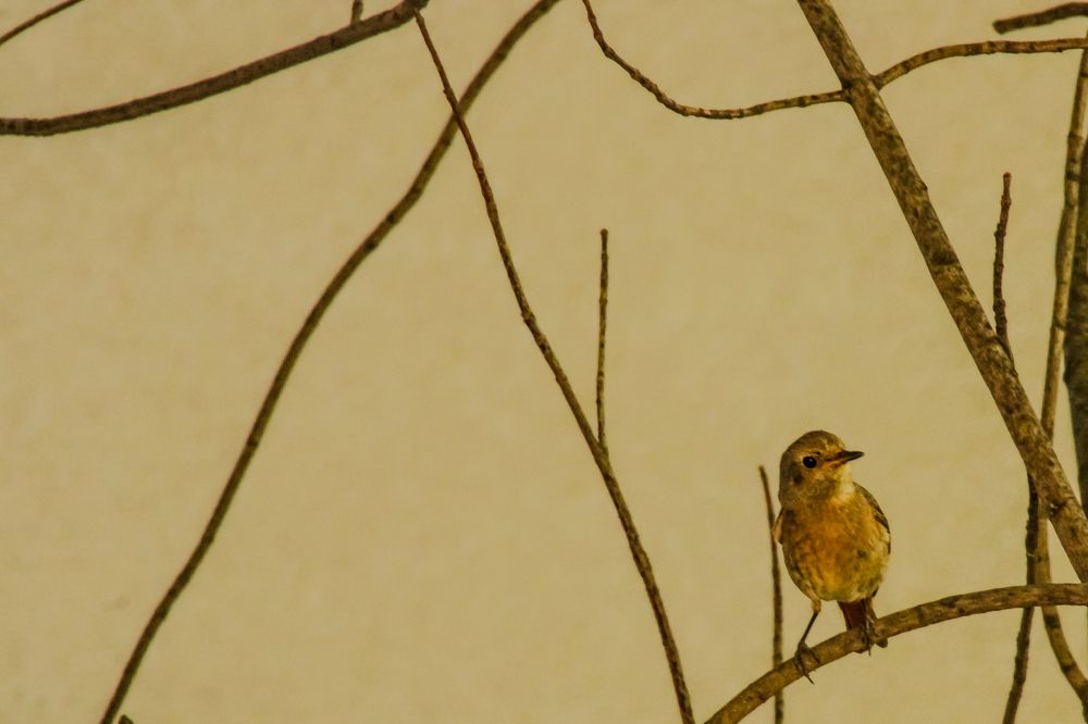 Photograph by Dubravka Madjinca