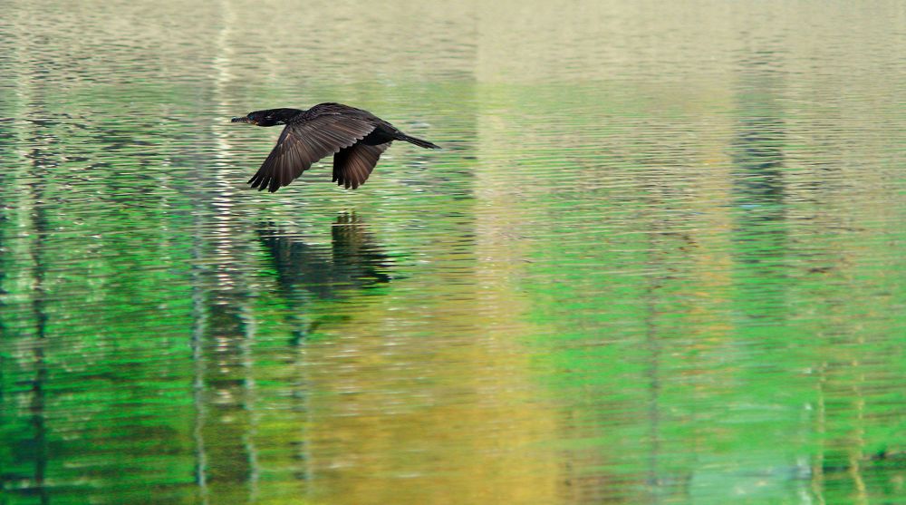 Photograph by Eduardo Modolo