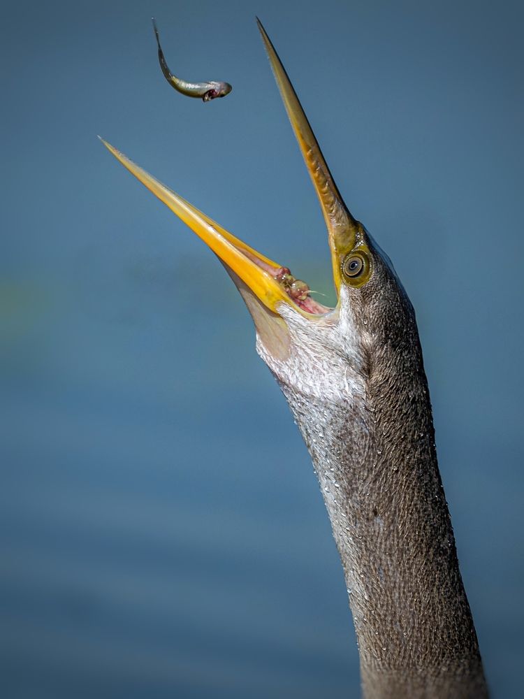 Photograph by Muralitharan M