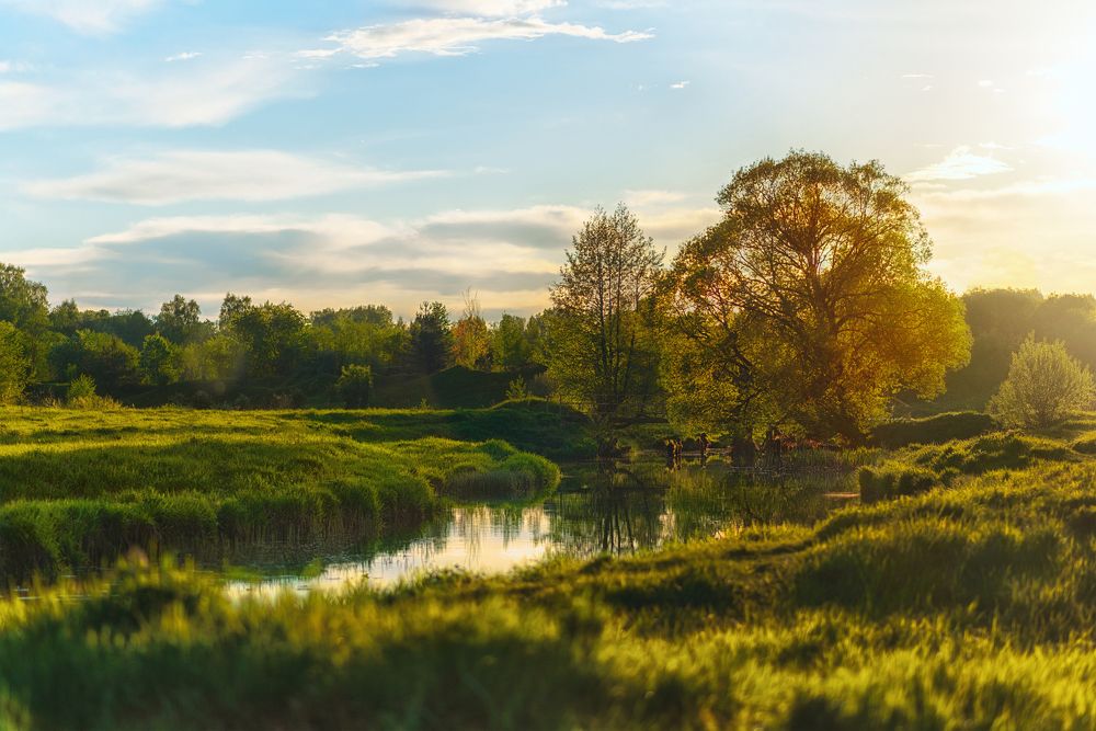 Photograph by Нуждин Андрей