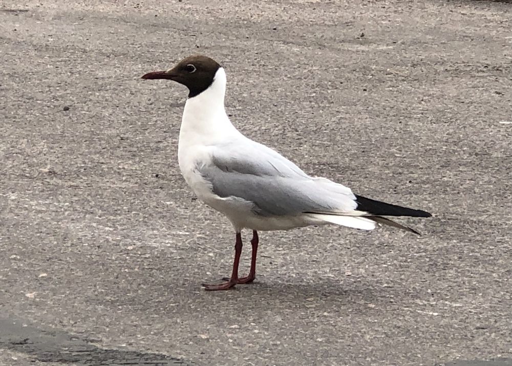 Photograph by Мария Бессмертная