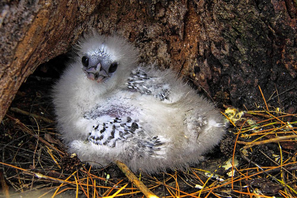 Photograph by Михаил Баевский