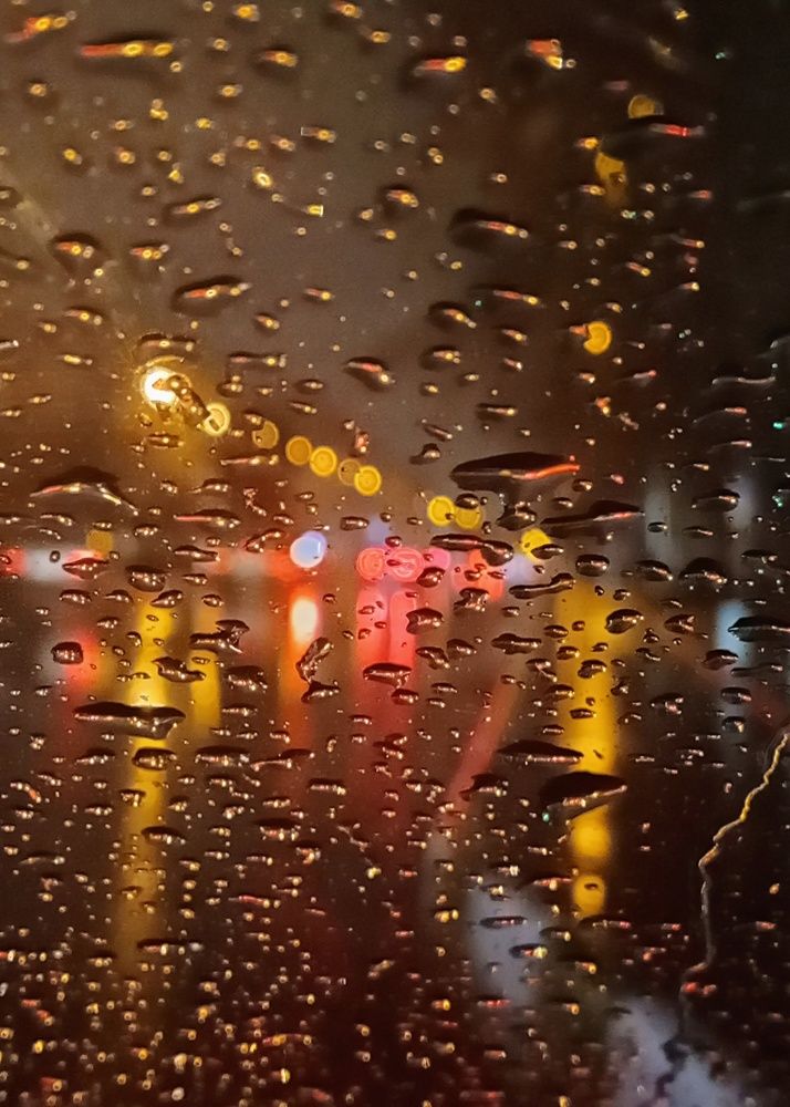 Photograph by Amin Ghaffarian