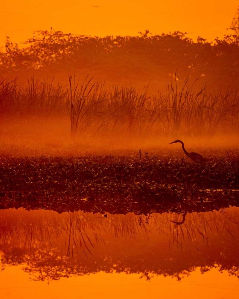 Photograph by Jeffrey Simon