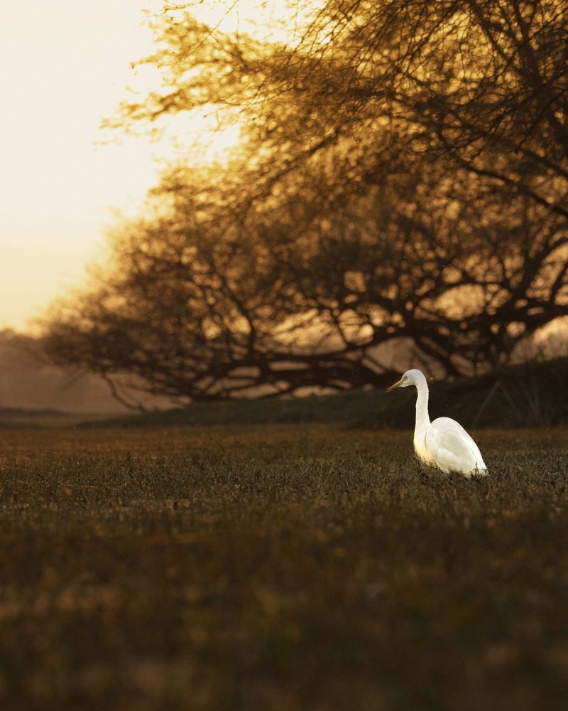 Photograph by Jeffrey Simon