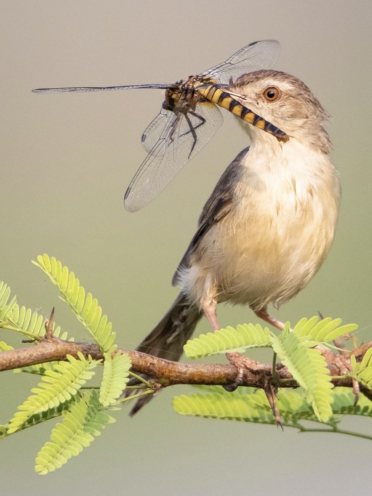 Photograph by Jeffrey Simon