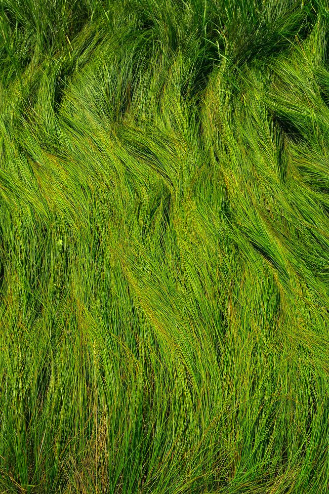 Photograph by Александр Кожухов