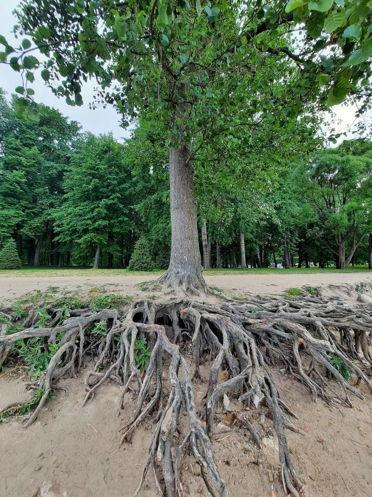 Photograph by Людмила Е.