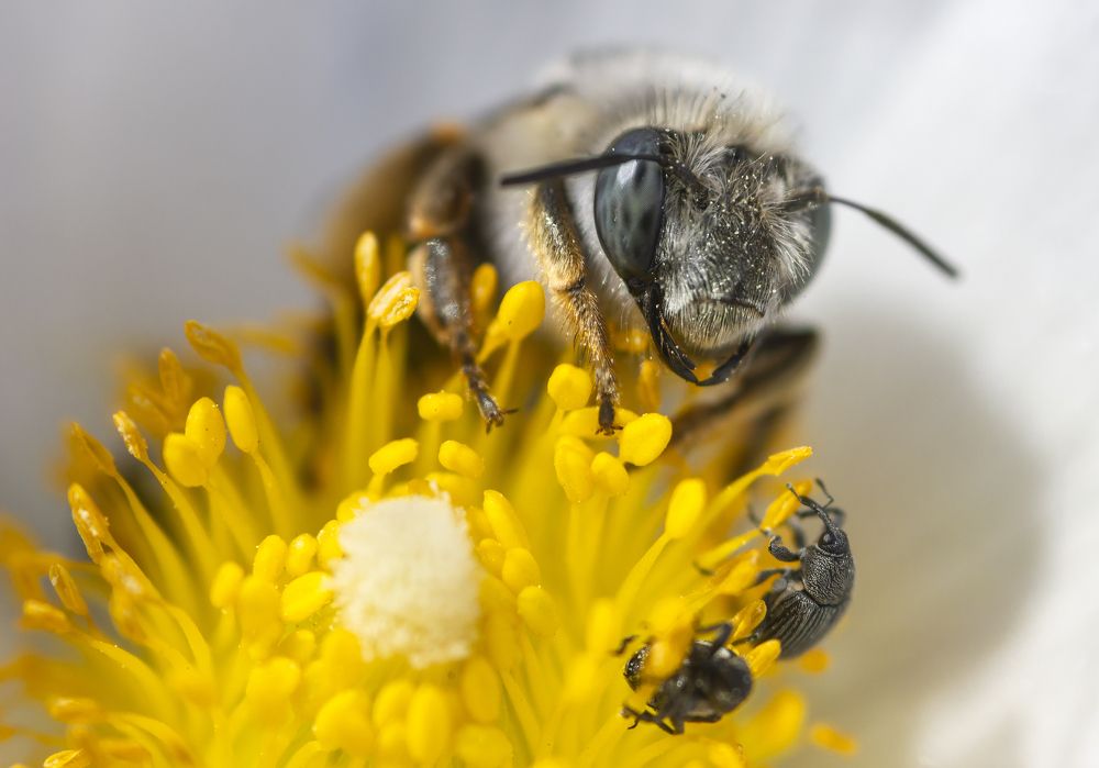 Photograph by Александр Кожухов