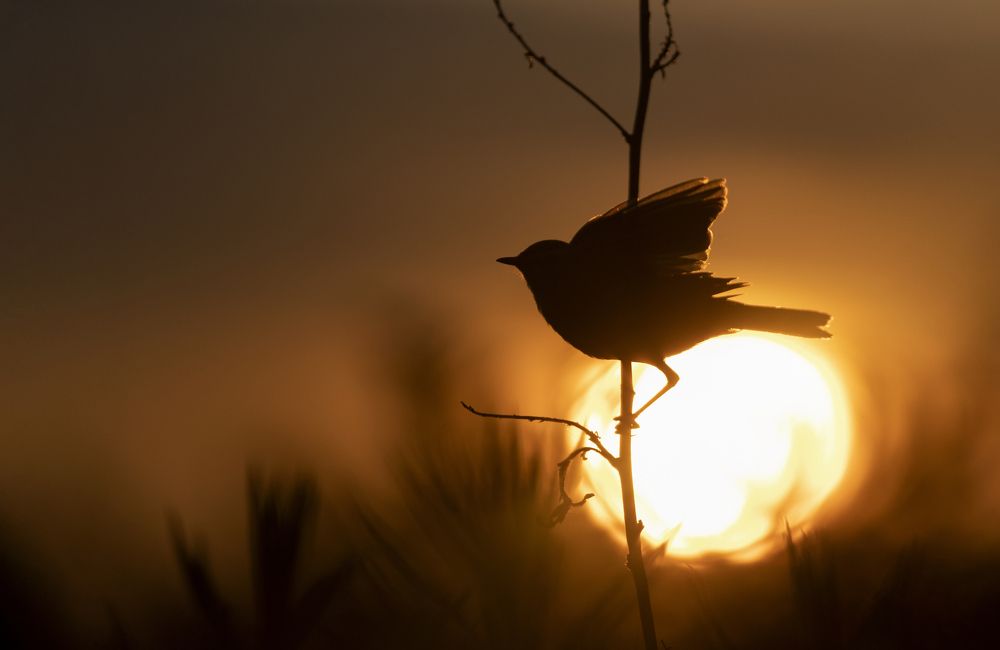 Photograph by Людмила Гудина