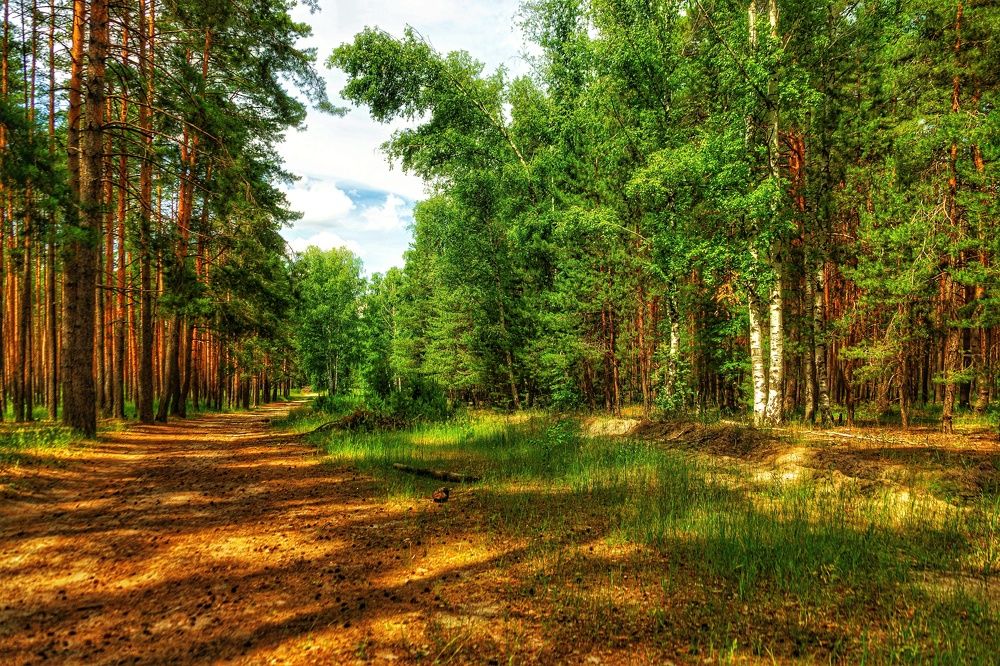 Photograph by Михаил Пасынков