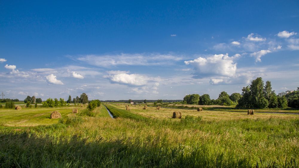 Июньский зной - 1