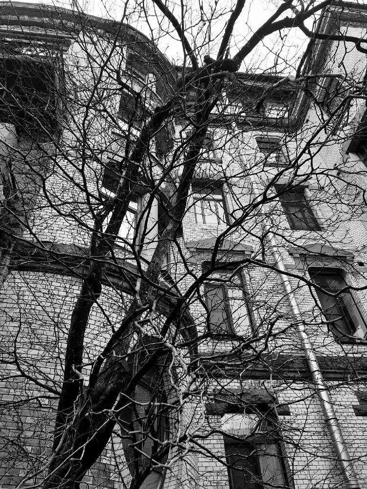 Photograph by Евгения Ульянова