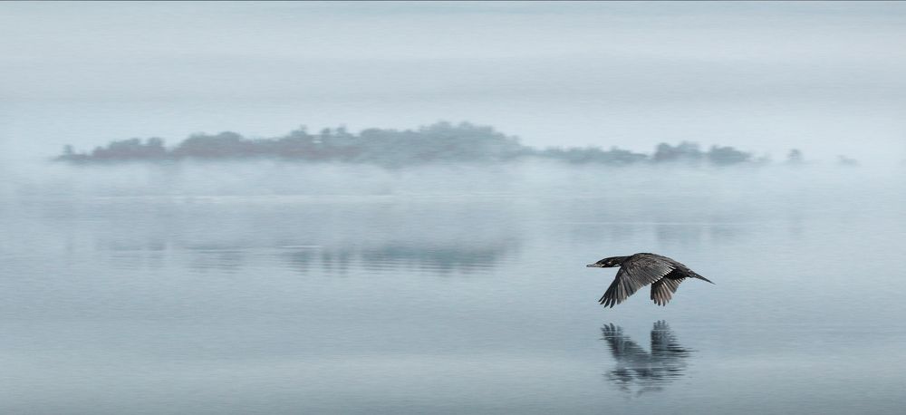 Photograph by Eduardo Modolo