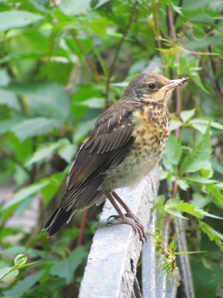 Photograph by Наталия Калюкина