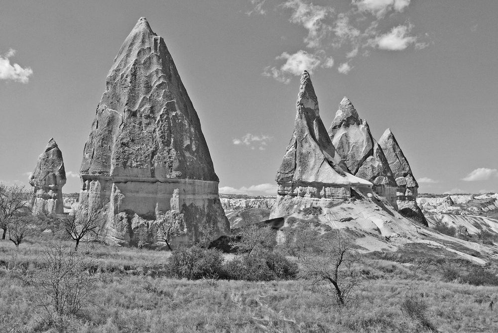 Photograph by Алексей