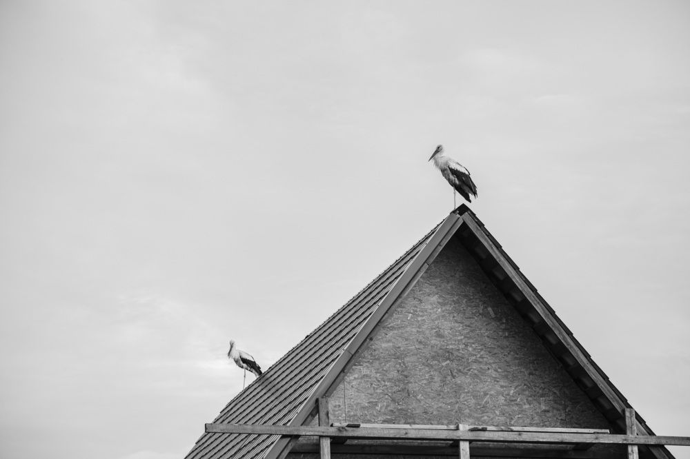 Photograph by Вера Голицына