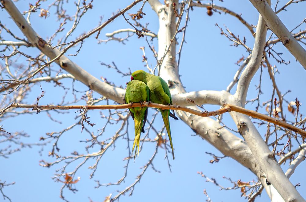 Photograph by Sahar Jafari