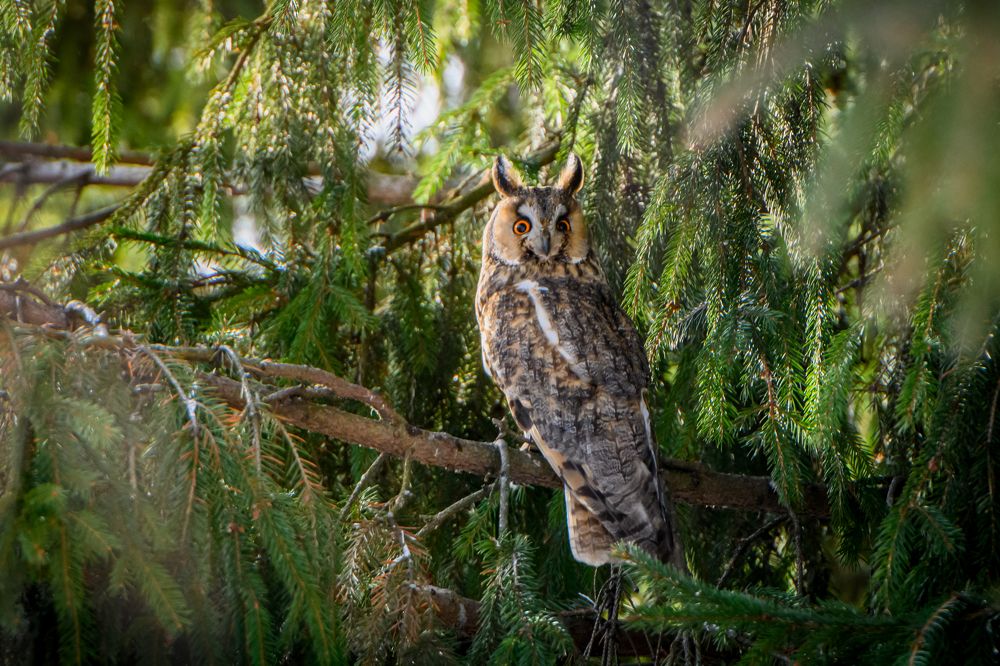 Photograph by Мария Новоселецкая