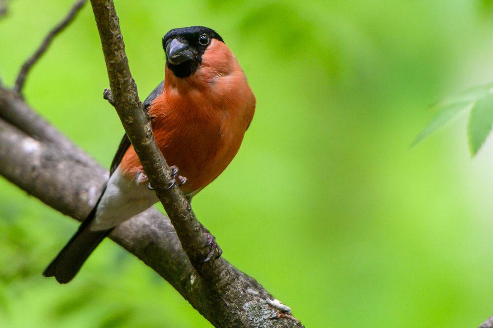 Photograph by Мария Новоселецкая