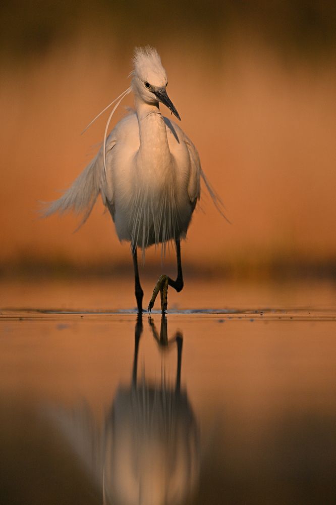 Photograph by Juraj Benčík