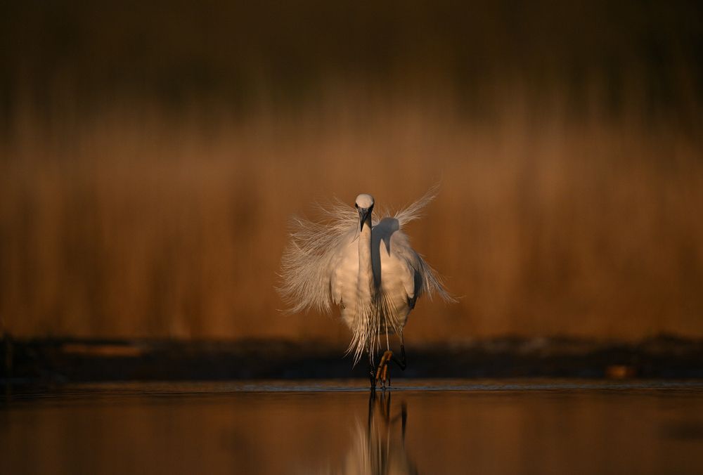 Photograph by Juraj Benčík