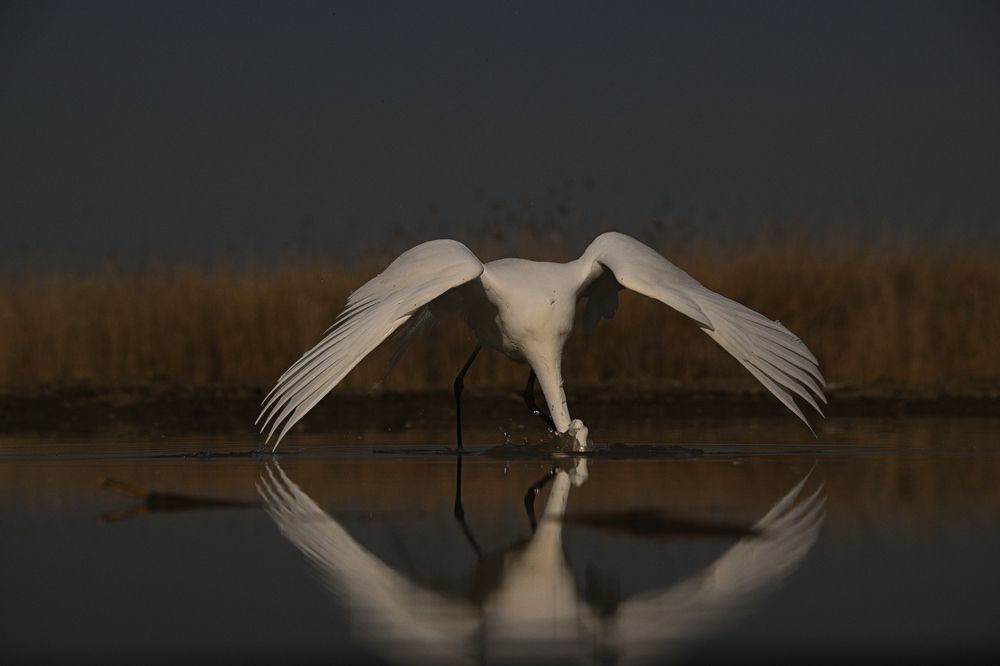 Photograph by Juraj Benčík