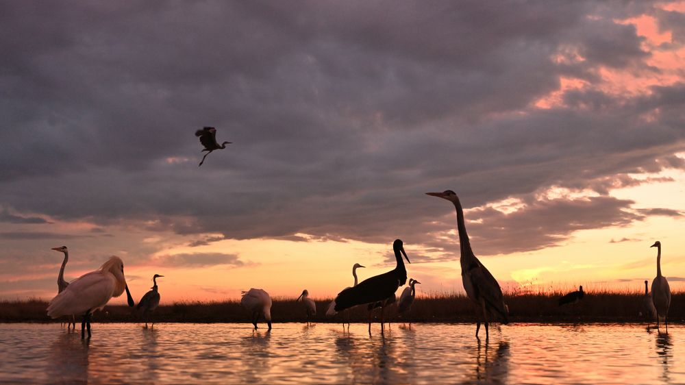 Photograph by Juraj Benčík